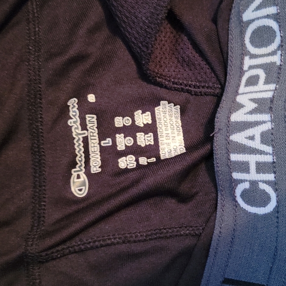 Womens size Lg Champion athletic pants - Picture 4 of 6